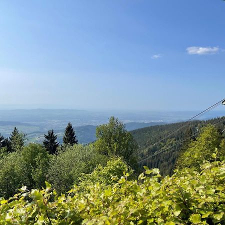 Neue Ferienwohnung Mit Whirlpool Und Sauna In Der Residenz Grafenmatt Inklusive Hochschwarzwaldcard Feldberg  Esterno foto