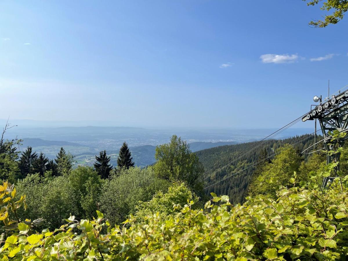 Neue Ferienwohnung Mit Whirlpool Und Sauna In Der Residenz Grafenmatt Inklusive Hochschwarzwaldcard Feldberg  Esterno foto