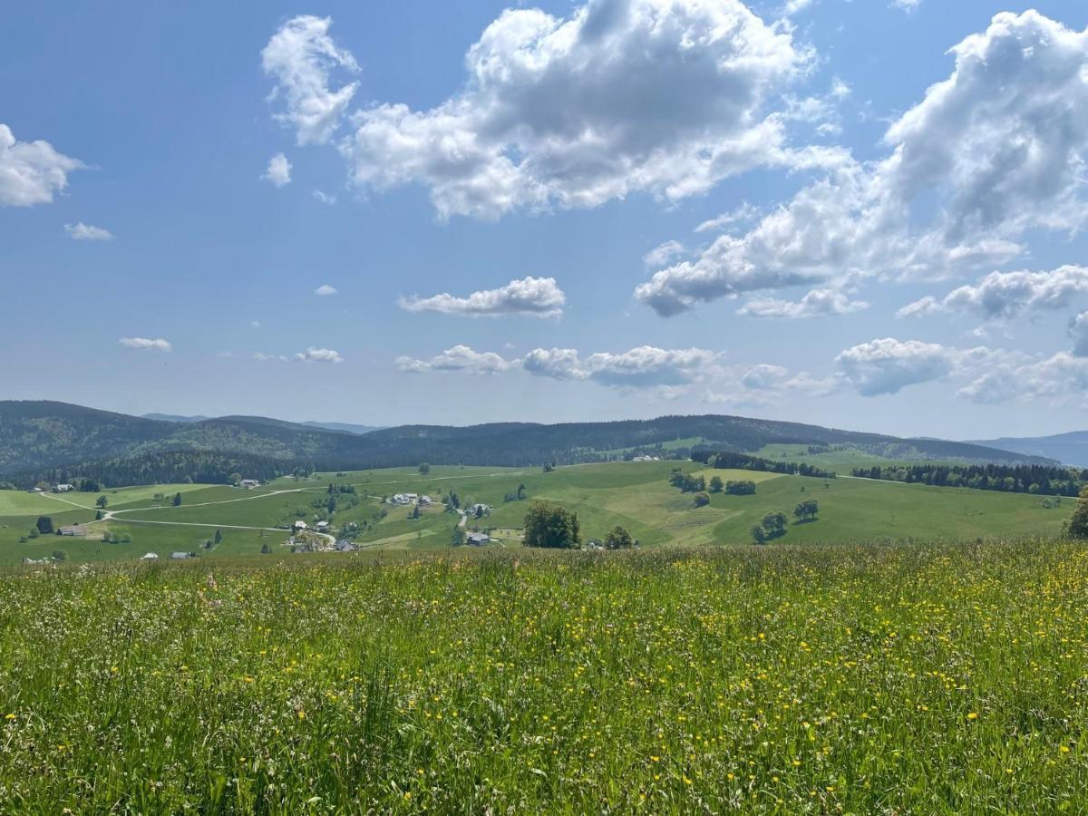 Neue Ferienwohnung Mit Whirlpool Und Sauna In Der Residenz Grafenmatt Inklusive Hochschwarzwaldcard Feldberg  Esterno foto
