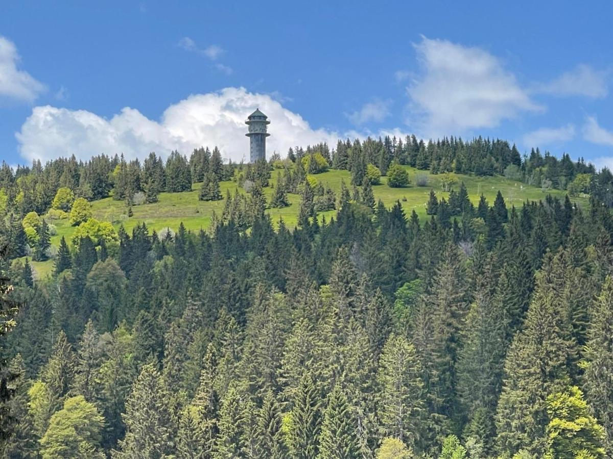 Neue Ferienwohnung Mit Whirlpool Und Sauna In Der Residenz Grafenmatt Inklusive Hochschwarzwaldcard Feldberg  Esterno foto