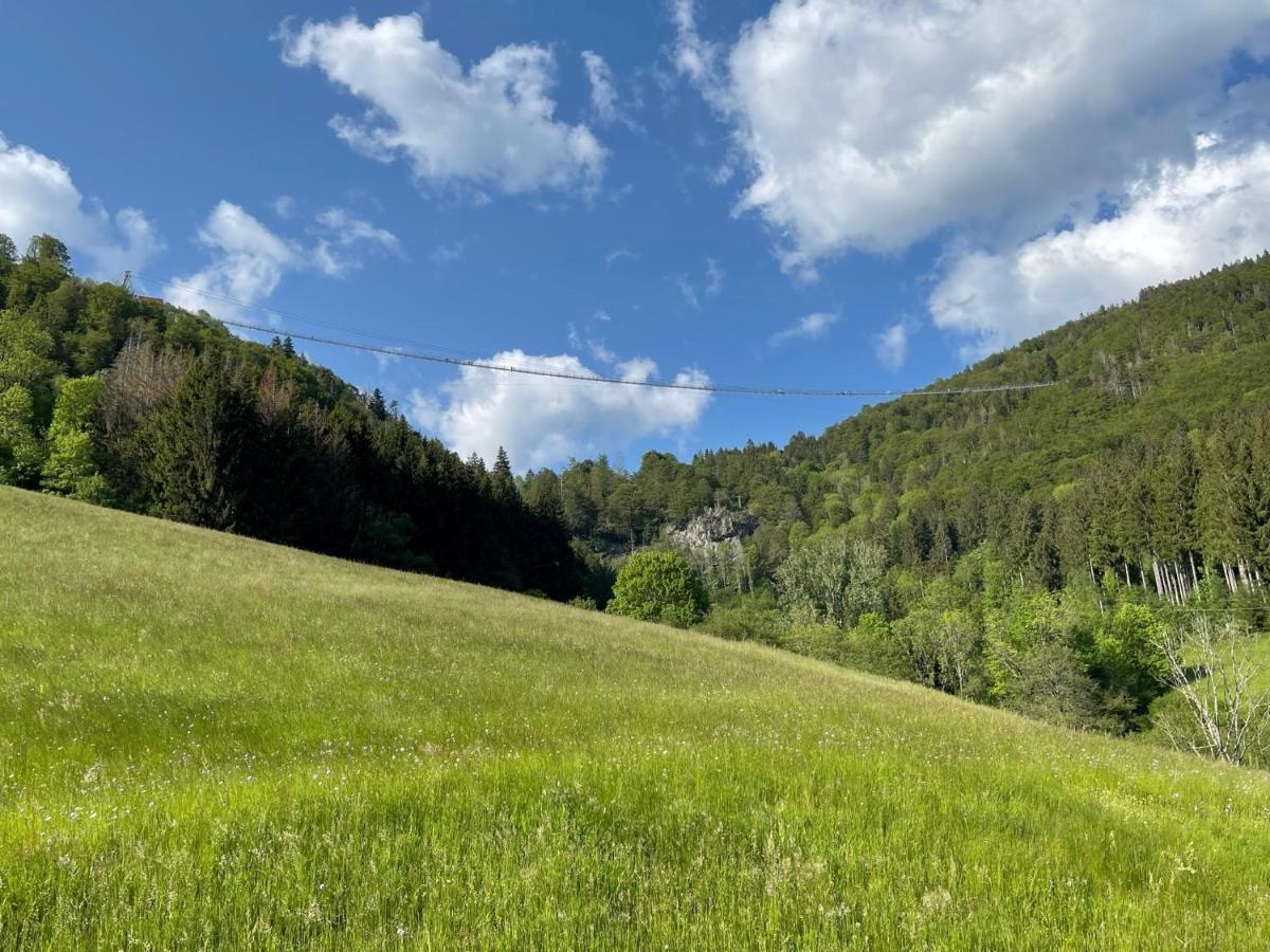 Neue Ferienwohnung Mit Whirlpool Und Sauna In Der Residenz Grafenmatt Inklusive Hochschwarzwaldcard Feldberg  Esterno foto